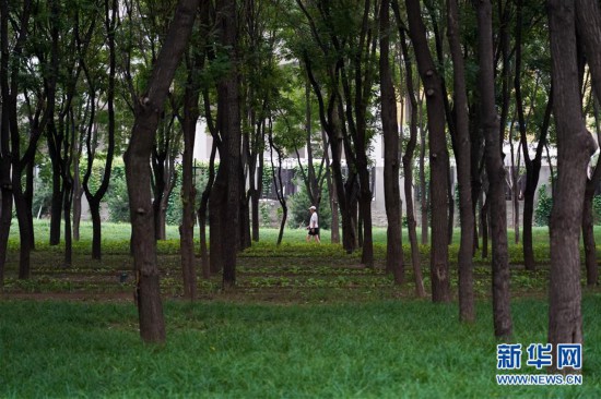 （走向我们的小康生活）（4）北京：老百姓家门口的绿地公园
