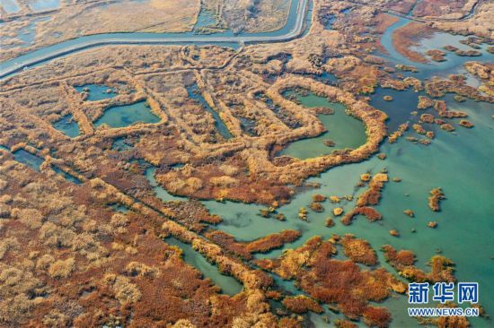 （美丽中国）（1）新疆玛纳斯：秋日湿地画卷
