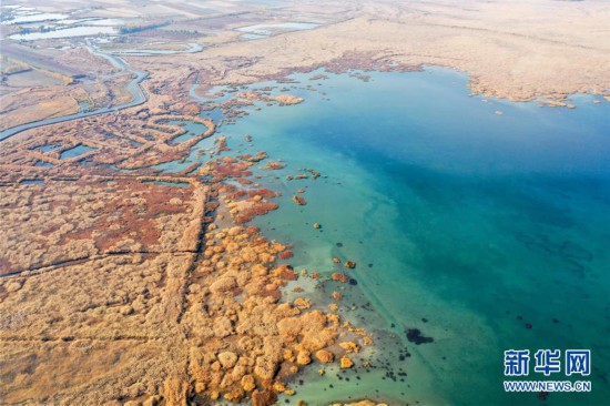 （美丽中国）（4）新疆玛纳斯：秋日湿地画卷